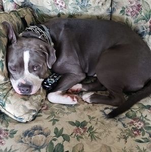 Meet your Posher, Tom